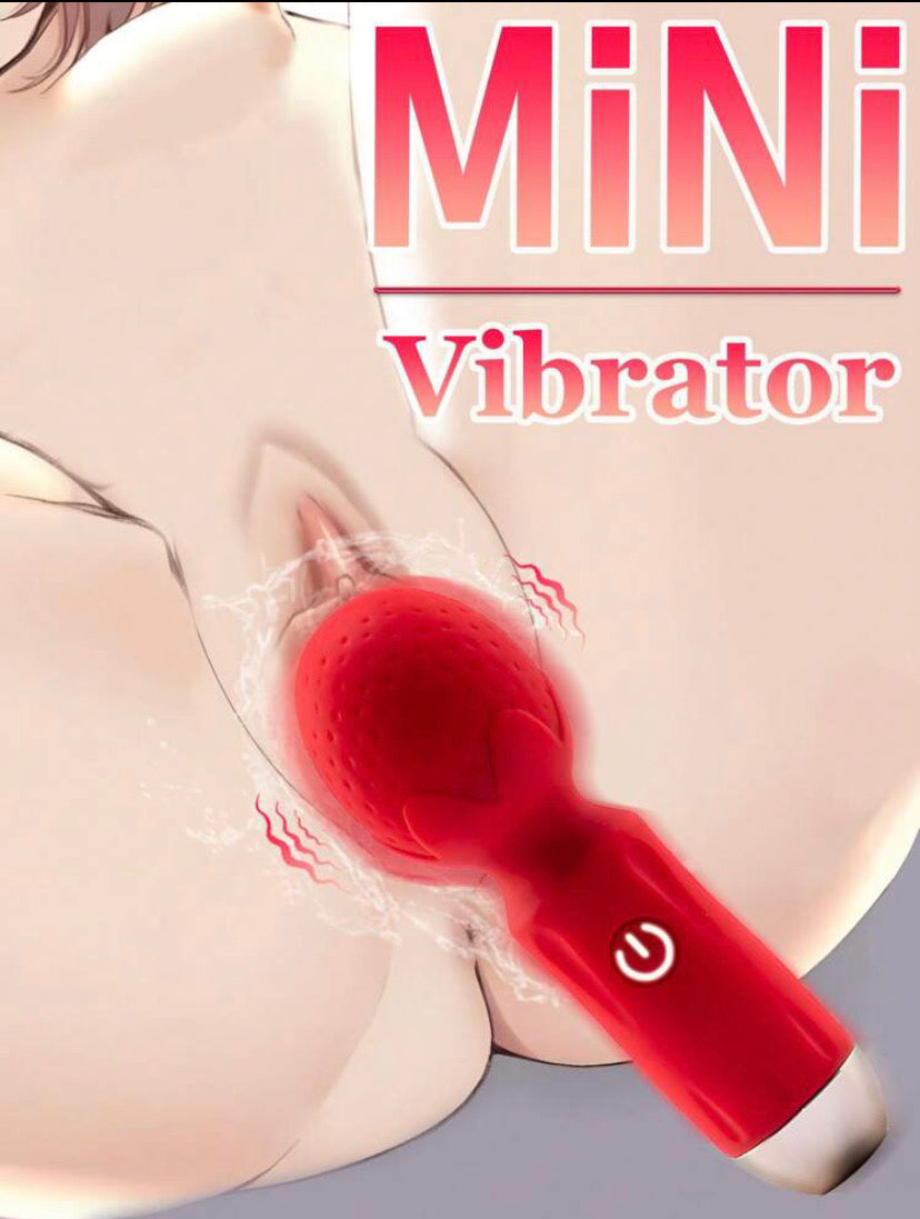 Mini vibrador micrófono