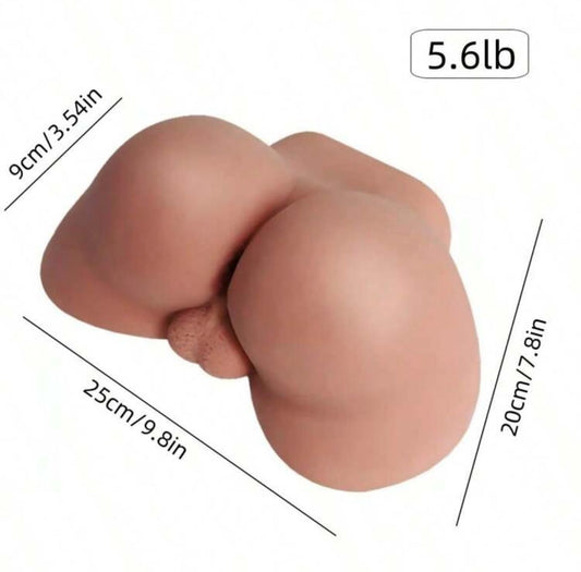 Torso masturbador masculino anal